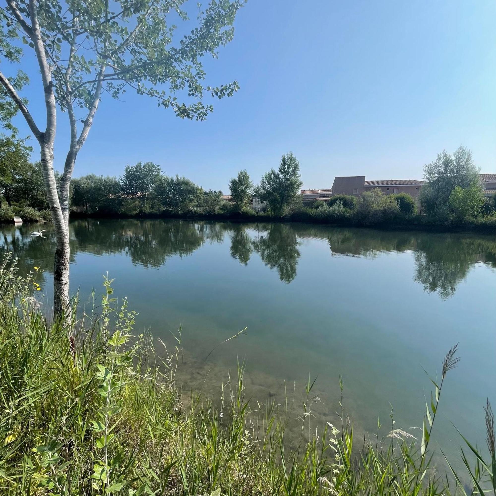 Saint-Saturnin-lès-Avignon Maison Plain Pied Avec Climatisation Dans Une Residence Privee Avec Piscine מראה חיצוני תמונה